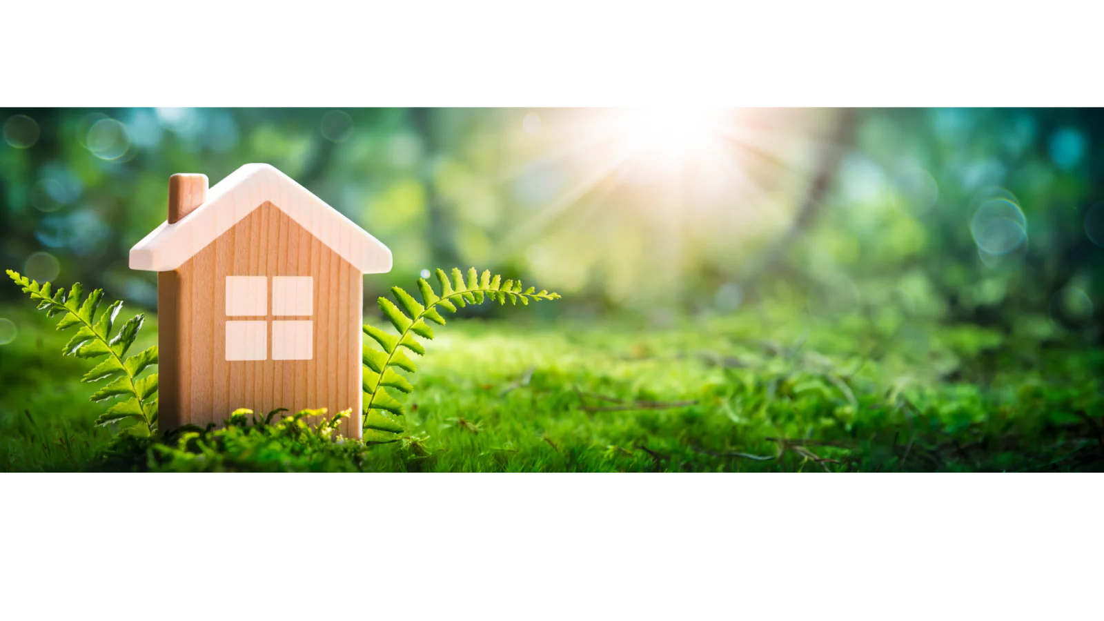 Shop Sustainably, Build Better Homes